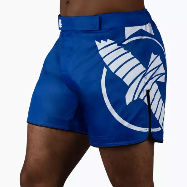 Шорты Hayabusa Icon MMA сине-белые