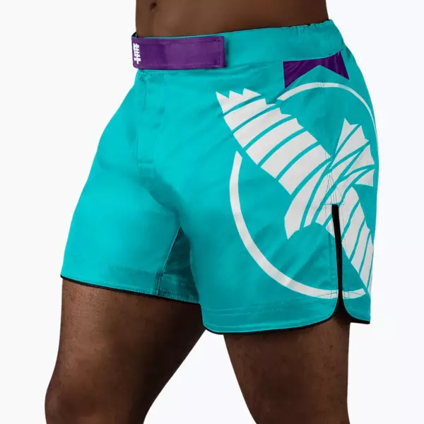 Шорты Hayabusa Icon MMA бирюзовые