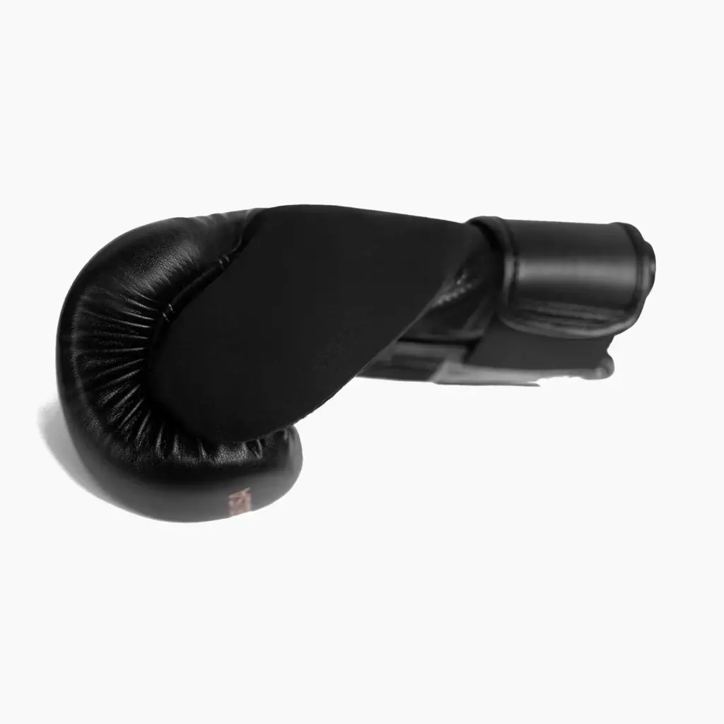 Боксёрские перчатки Hayabusa E1 Boxing black/gold