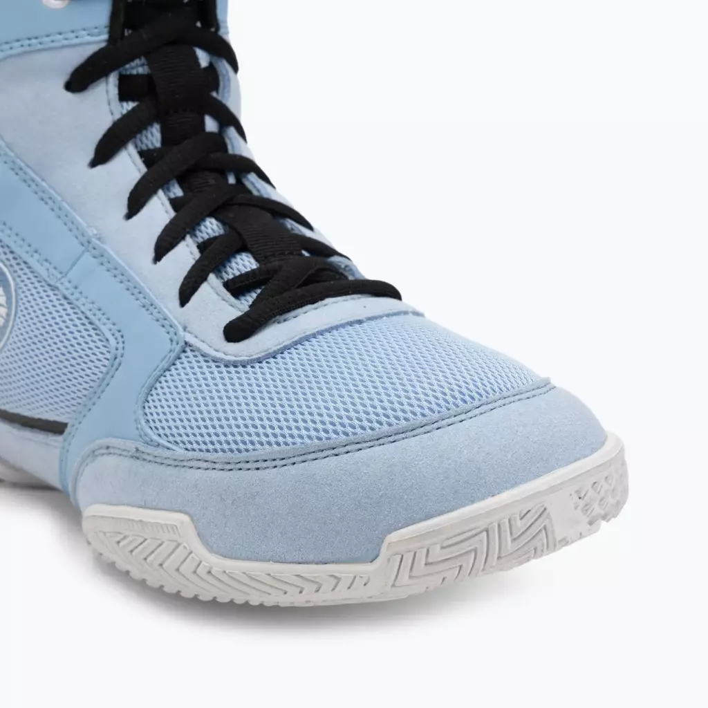 Боксёрки Hayabusa Pro Boxing powder blue