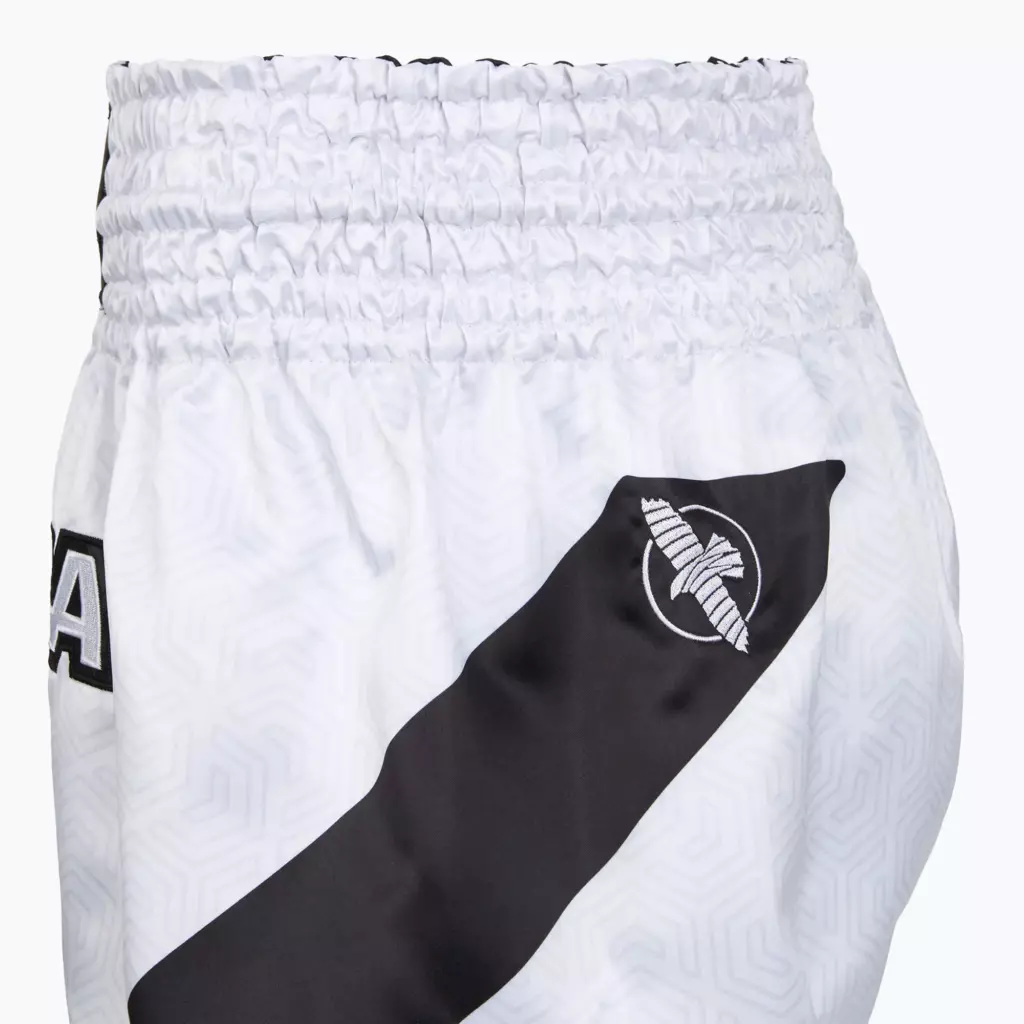 Шорты Hayabusa Core Fight white