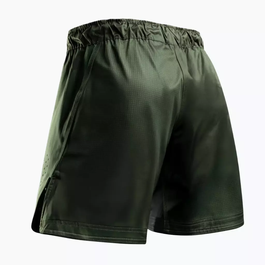 Шорты Hayabusa Apex Fight 3/4 green