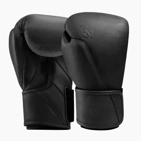 Боксёрские перчатки Hayabusa T360 Leather black