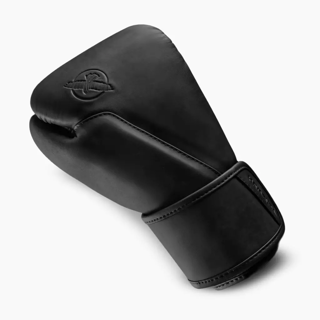 Боксёрские перчатки Hayabusa T360 Leather black