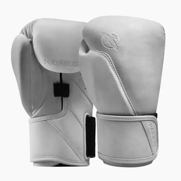 Боксёрские перчатки Hayabusa T360 Leather white