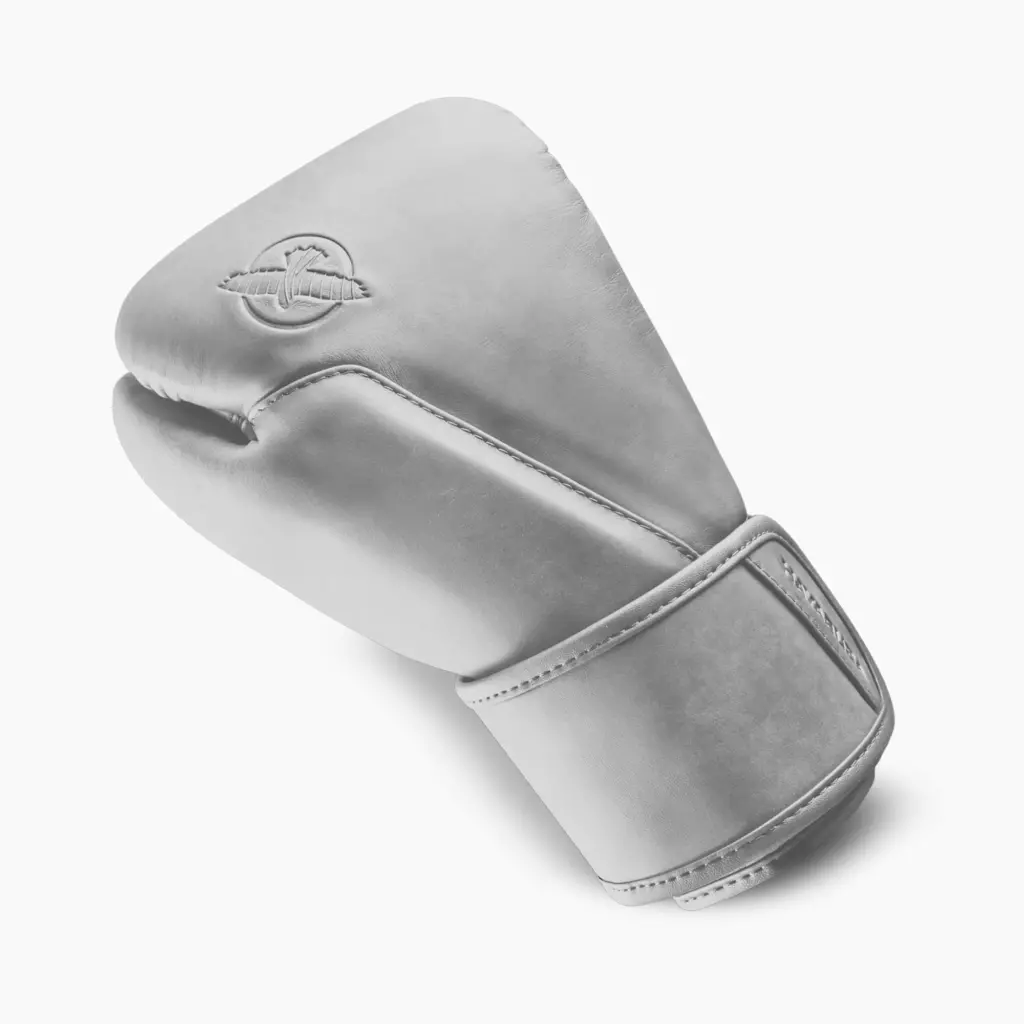 Боксёрские перчатки Hayabusa T360 Leather white