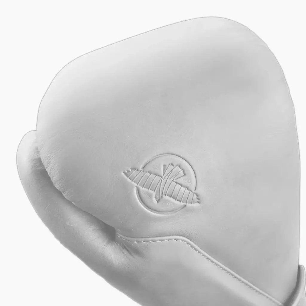 Боксёрские перчатки Hayabusa T360 Leather white