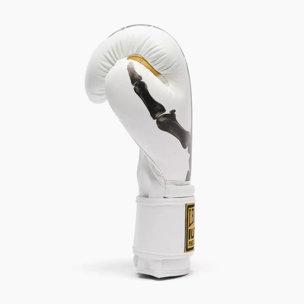 Боксёрские перчатки LEONE 1947 Leone X Iuter white