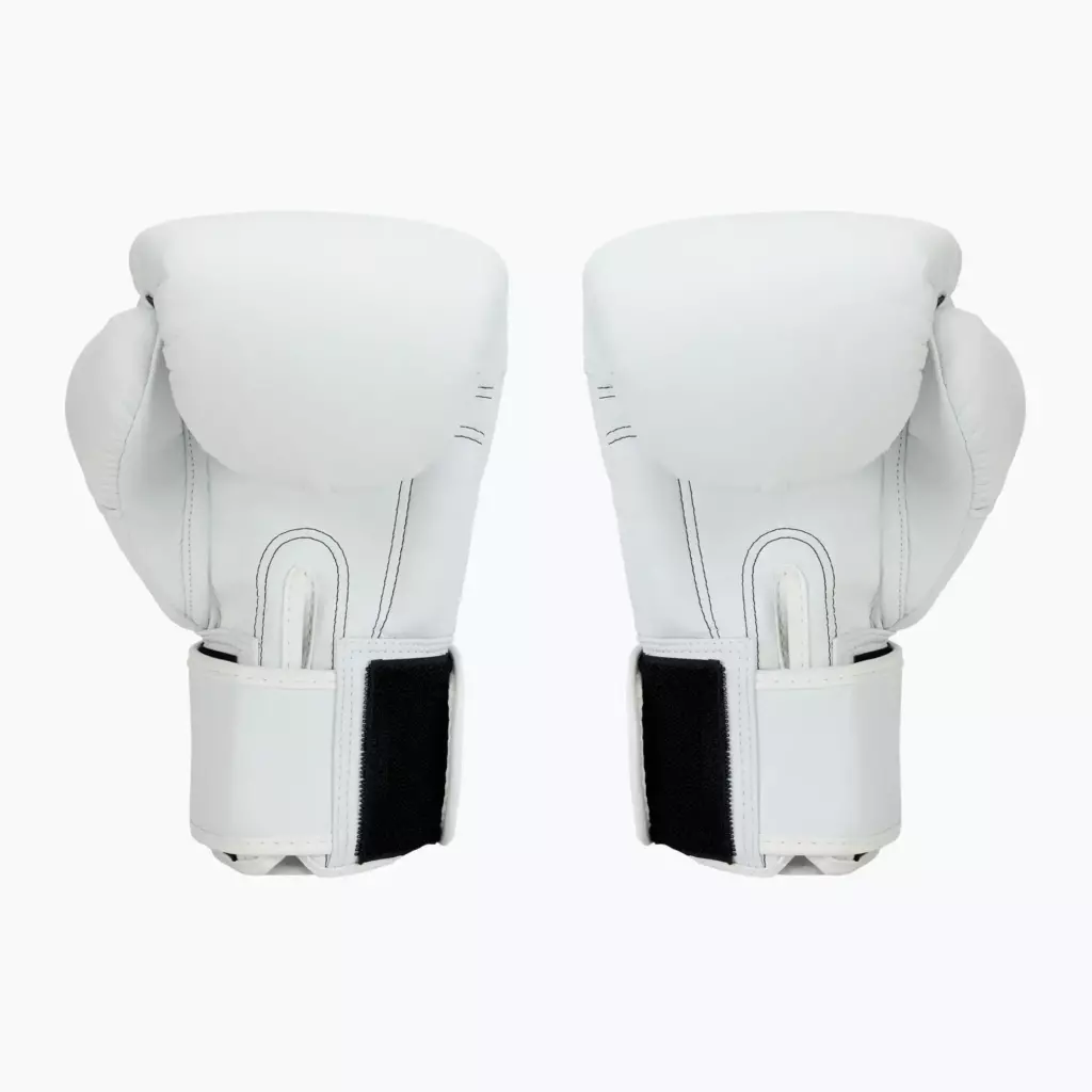 Боксёрские перчатки Twins Special BGVS3 white