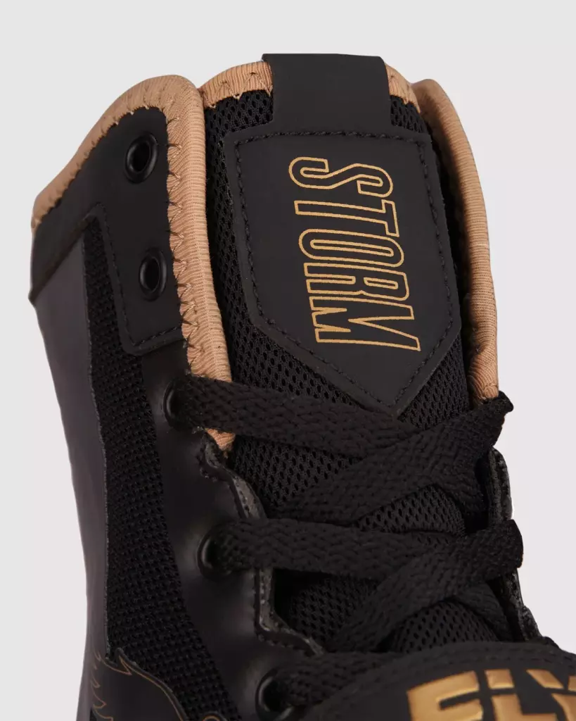 Боксёрки Fly Storm BOOTS Black & Gold