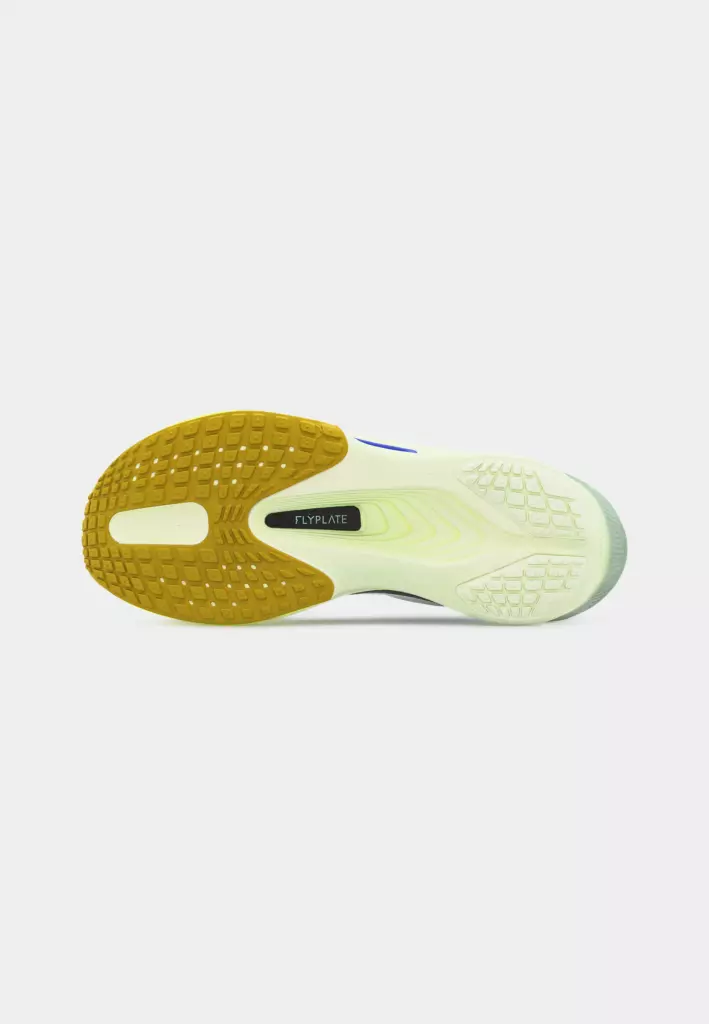 Кроссовки для бега Nike Zoom Fly 6 barely green/black spruce/volt ice/sapphire/volt tint/steam