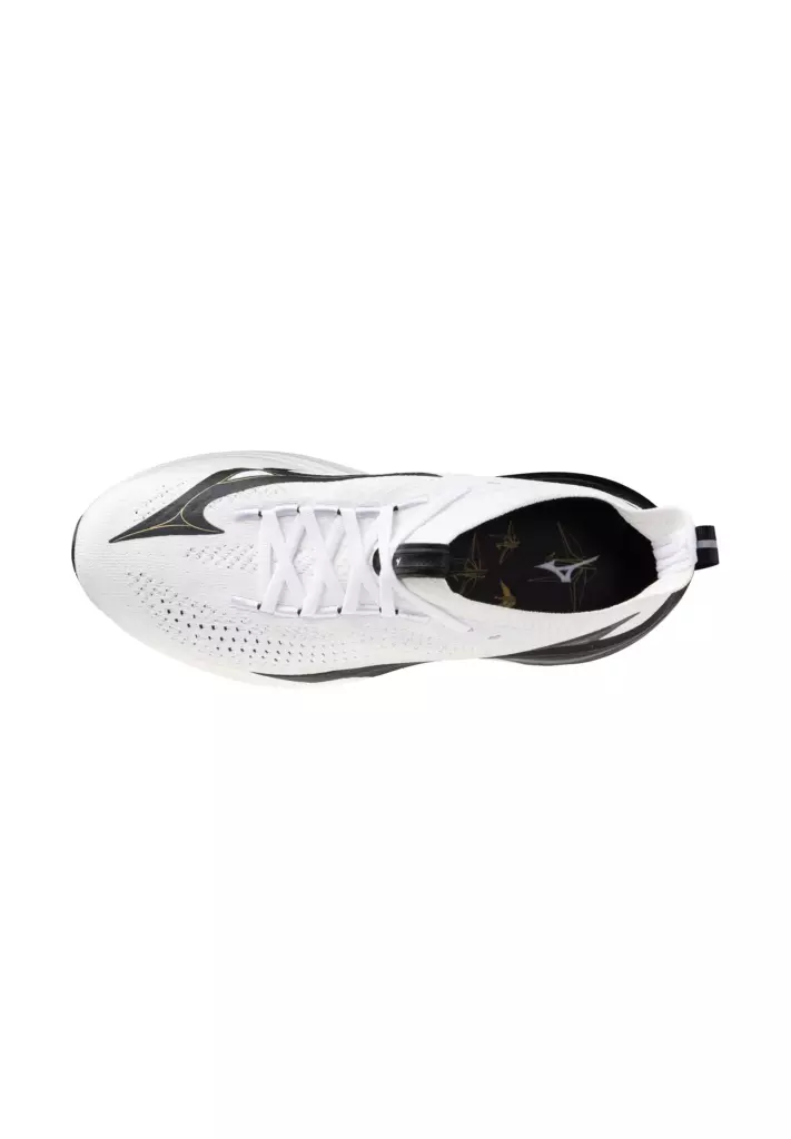 Кроссовки для бега Mizuno Vista white/black/gold