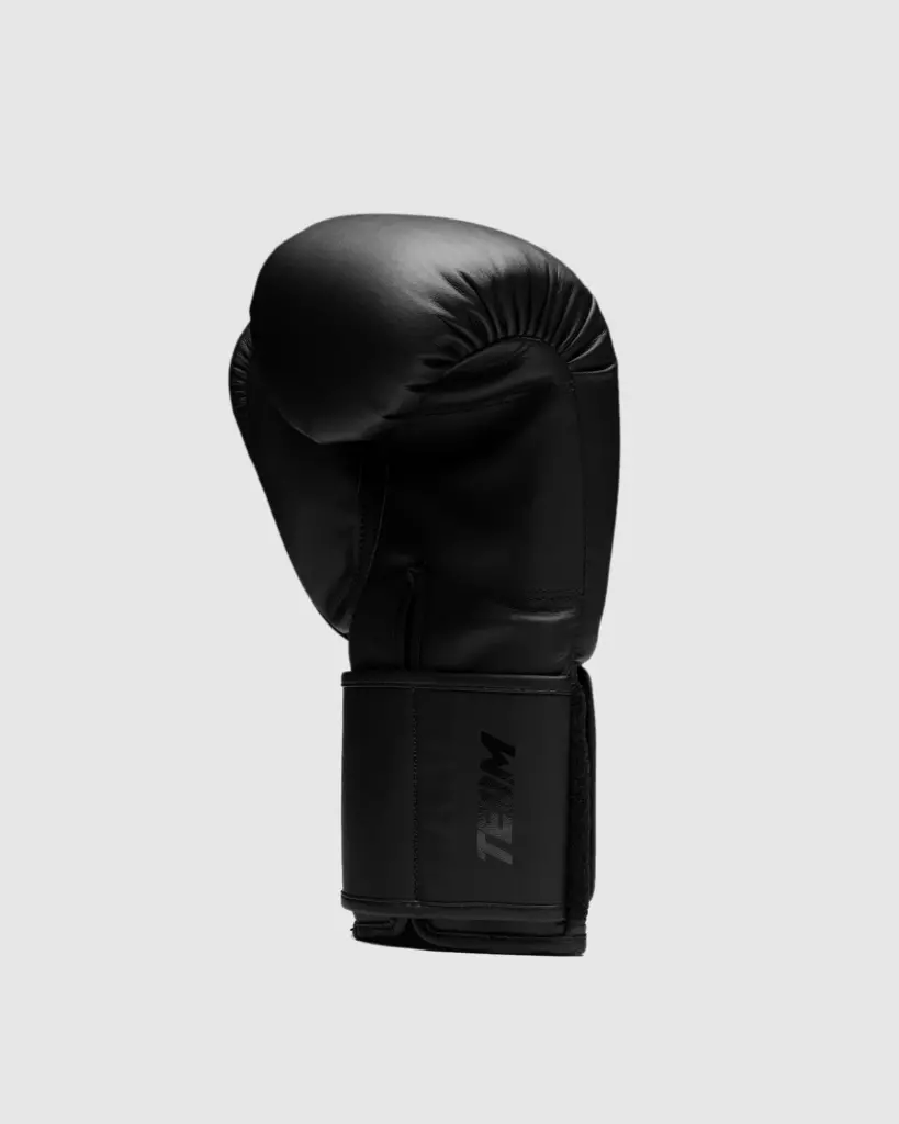 Боксёрские перчатки Fly SUPERLOOP TEAM GLOVES - Black