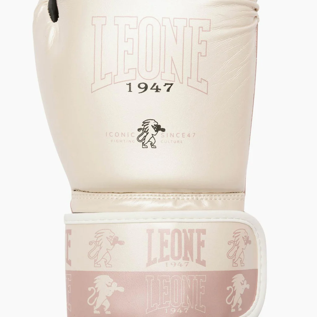 Боксёрские перчатки LEONE 1947 - Iconic 10M GN312