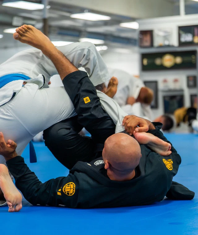 Кимоно Tatami PRO SERIES BLACK & CHAMPION GOLD