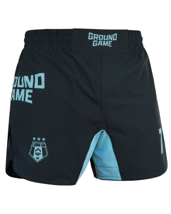 Шорты Ground Game MMA FC ARMBAR мятные