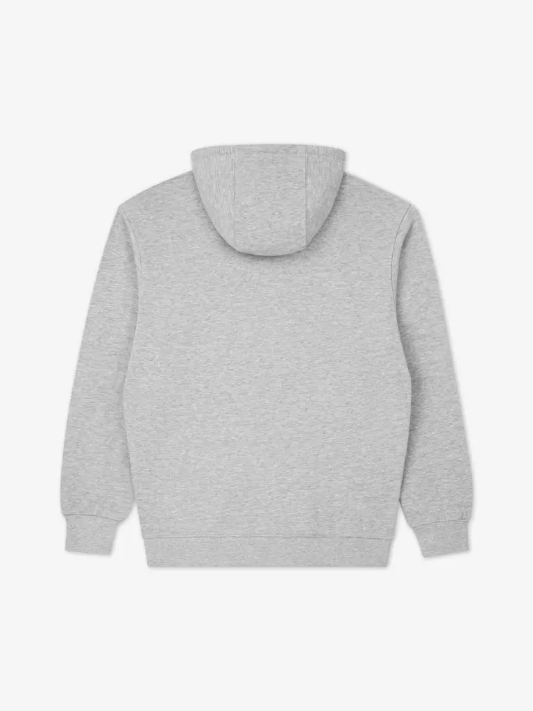 Худи MANTO VARSITY 26 серая