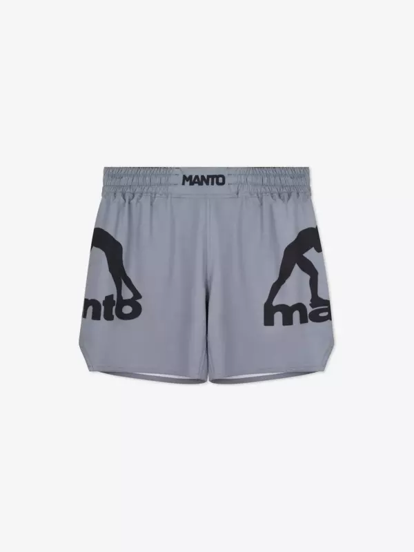 Шорты MANTO LOGO DUAL серые