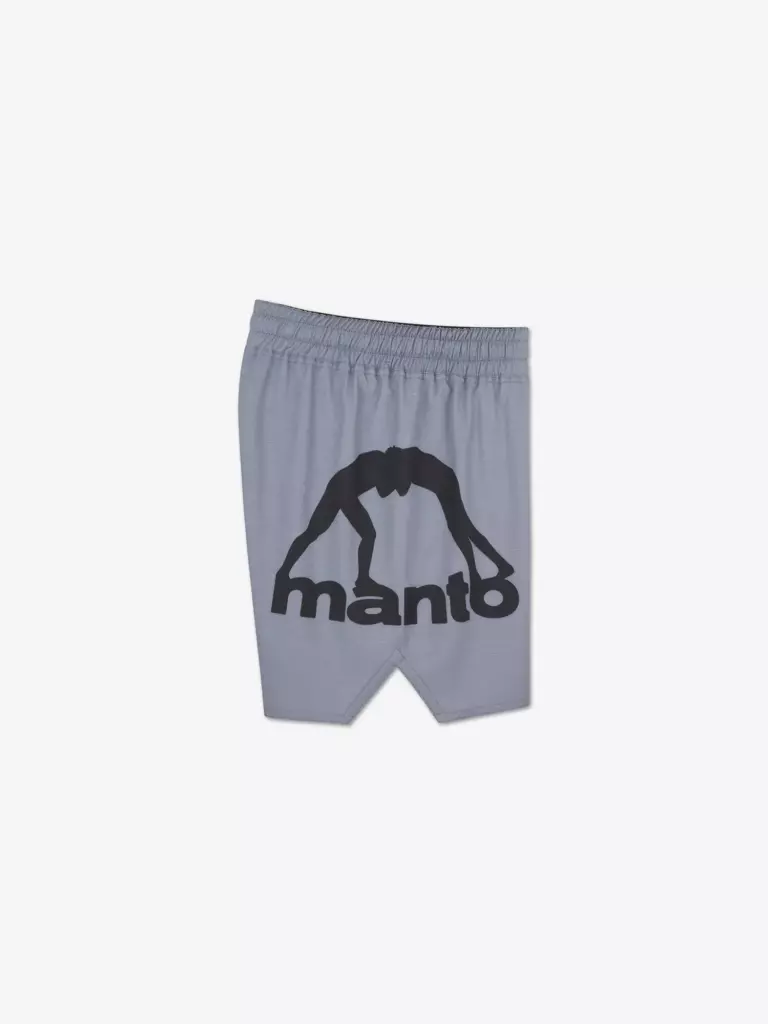 Шорты MANTO LOGO DUAL серые