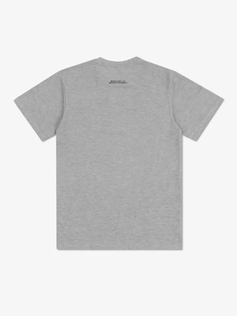 Футболка MANTO VARSITY 25 серая