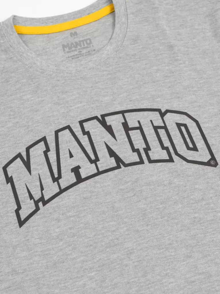 Футболка MANTO VARSITY 25 серая