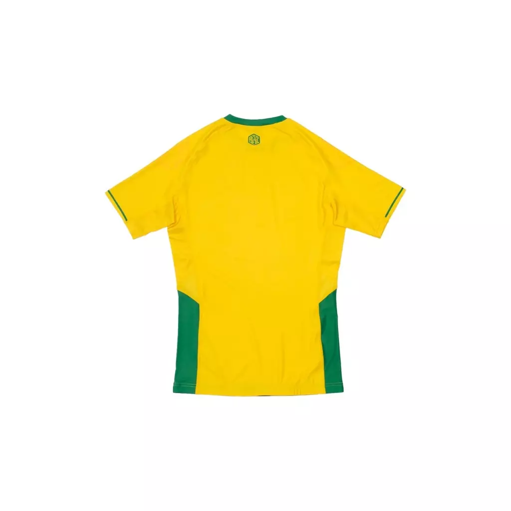 Рашгард Aesthetic Brazil