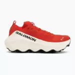 Salomon