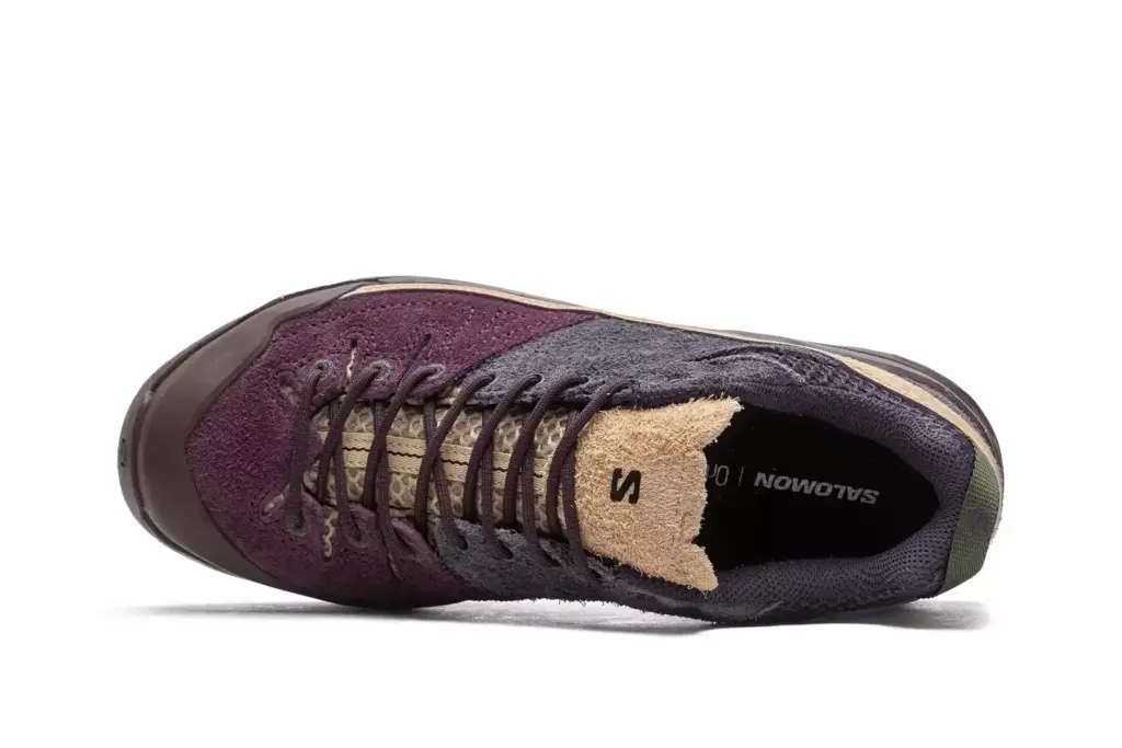 Кроссовки Salomon X-Alp Suede "Plum"
