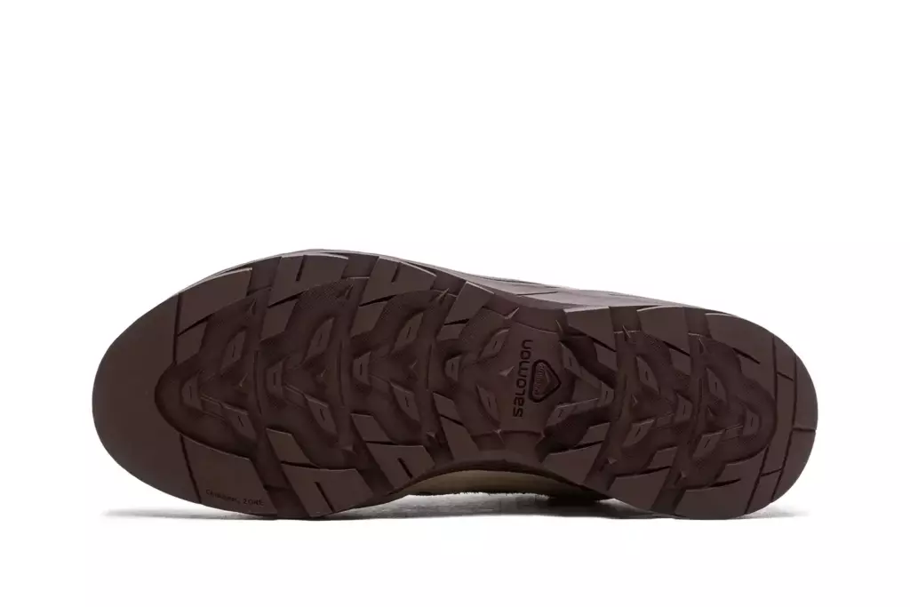 Кроссовки Salomon X-Alp Suede "Plum"