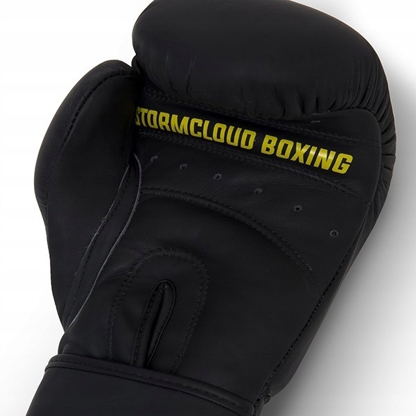 Боксерские перчатки StormCloud Boxing Pro чёрные