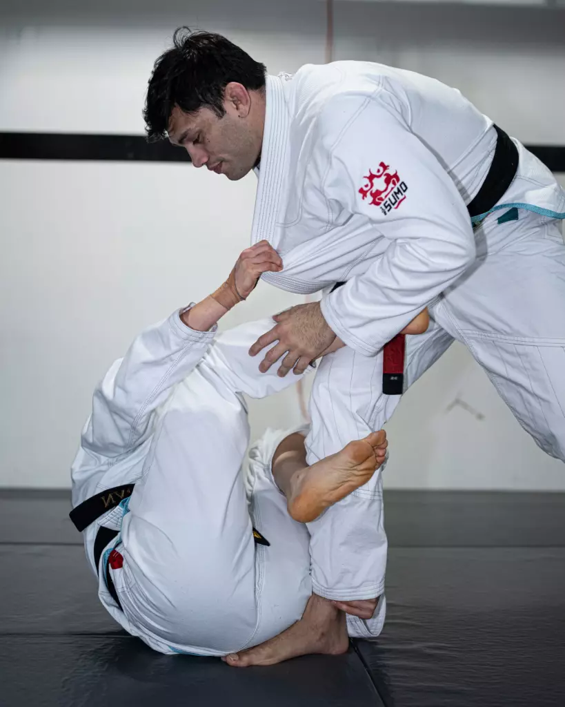 Кимоно Half Sumo Tengu