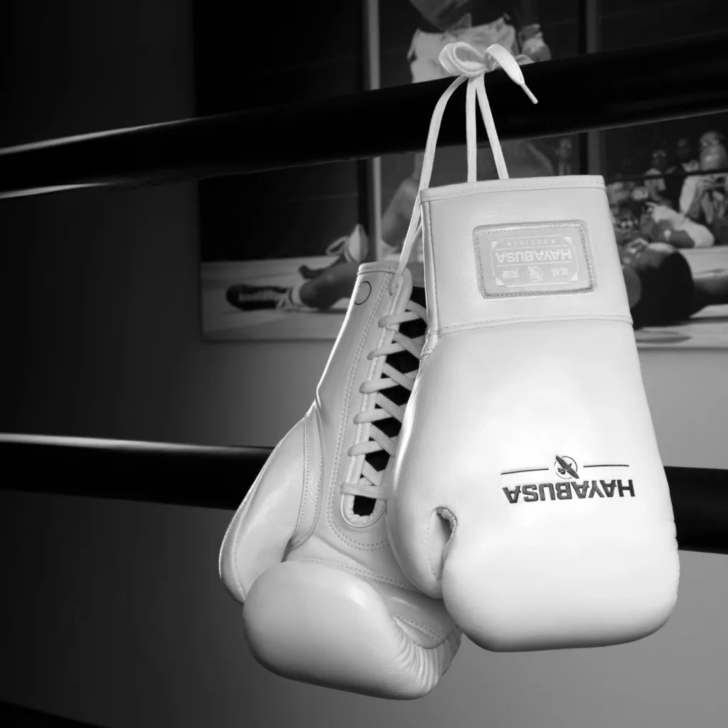 Боксёрские перчатки Pro Horsehair Fight - White