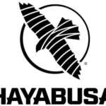 Hayabusa