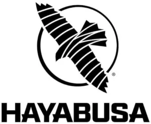 Hayabusa