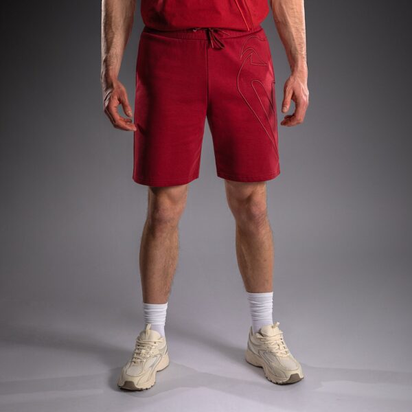 Шорты Venum Giant 3D Cotton - Red