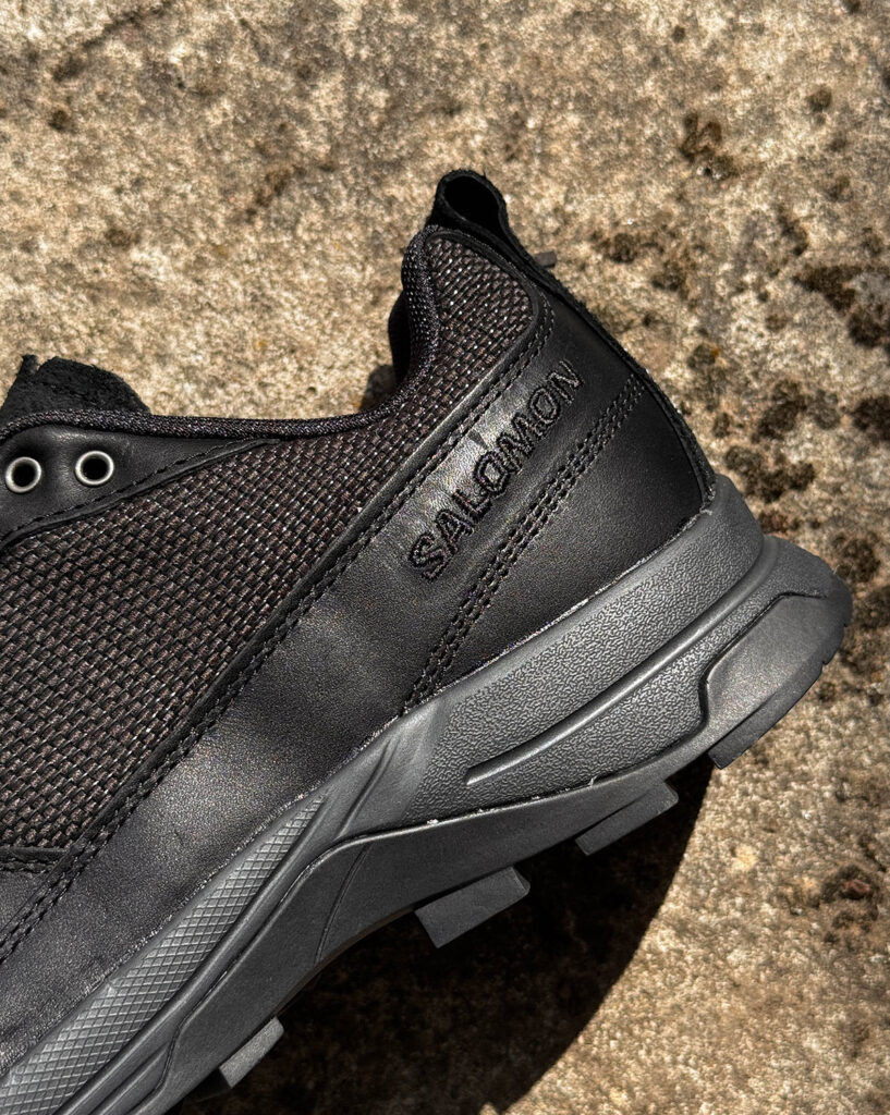 Кроссовки Salomon X-Alp Alpine Echoes