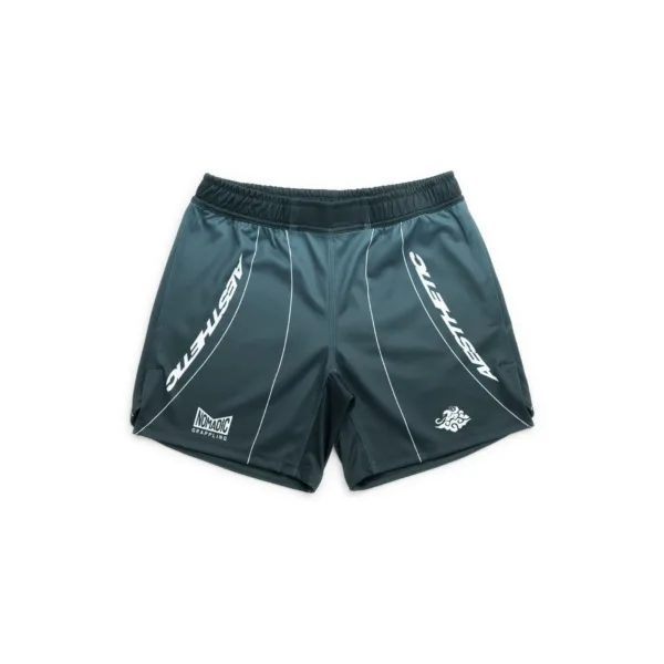 Шорты Aesthetic 'Petrol Blue' ADCC 2026 Jozef Chen