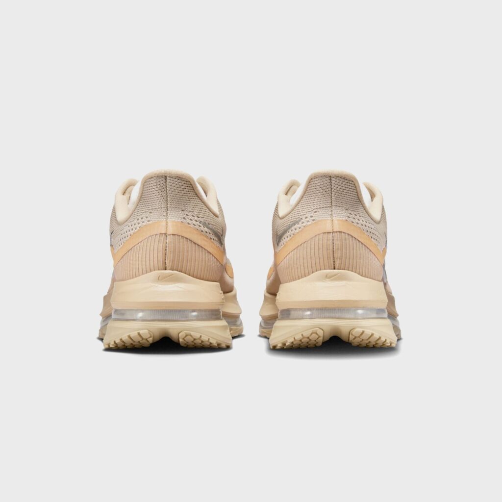 Кроссовки Nike Pegasus Premium SP - Mushroom / Metallic Silver / White