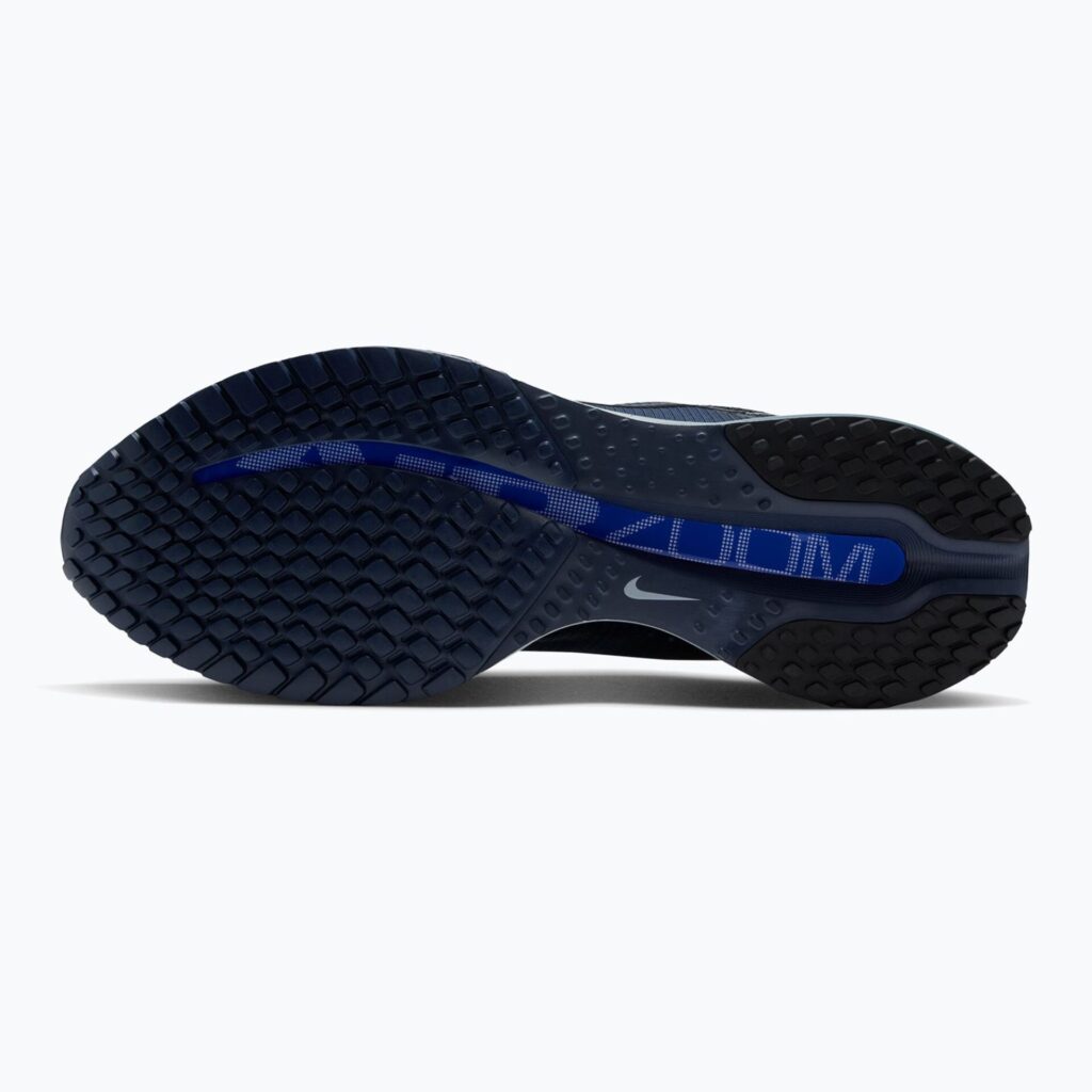Кроссовки для бега Nike Pegasus Premium smokey blue/dark slate/racer blue/black