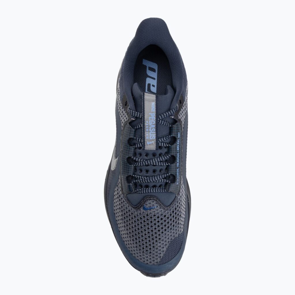 Кроссовки для бега Nike Pegasus Premium thunder blue/obsidian/black/ashen slate