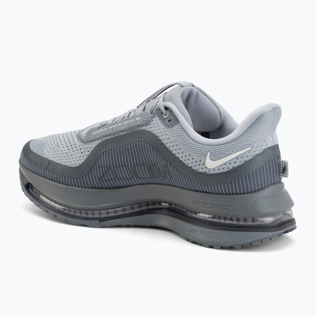 Кроссовки для бега Nike Pegasus Premium wolf grey/cool grey/anthracite/sail