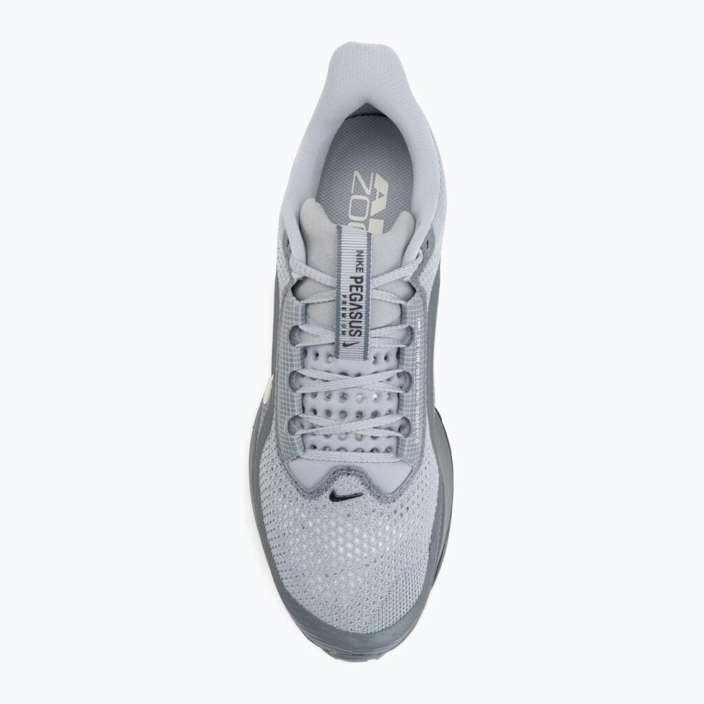 Кроссовки для бега Nike Pegasus Premium wolf grey/cool grey/anthracite/sail