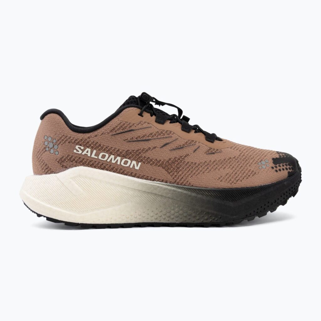 Кроссовки для бега Salomon Aero Blaze 4 GRVL burro/vanilla ice