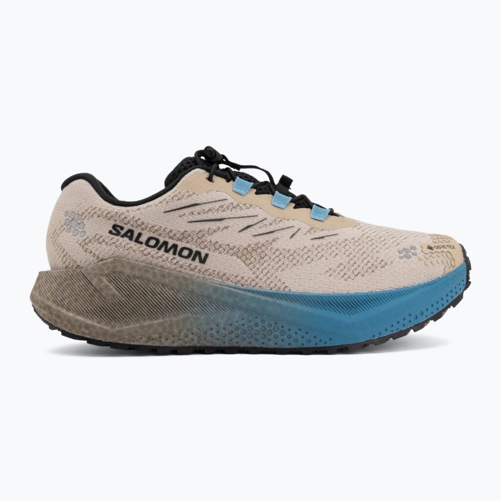 Кроссовки для бега Salomon Aero Blaze 4 GRVL GTX oxford tan/black