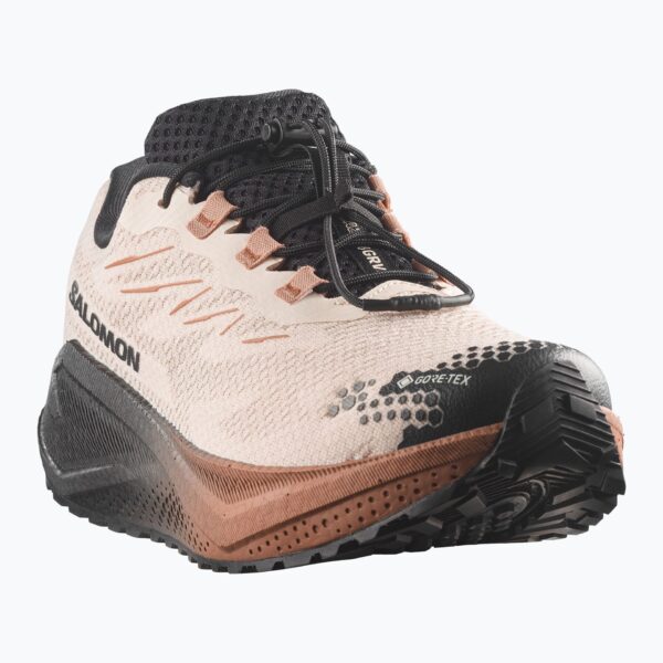 Кроссовки для бега Salomon Aero Blaze 4 GRVL GTX vanilla ice/black