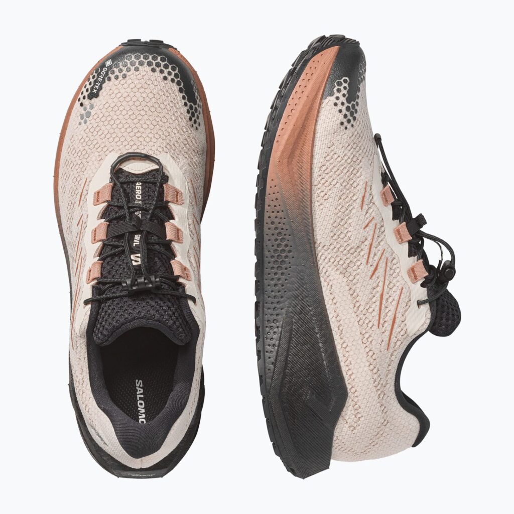 Кроссовки для бега Salomon Aero Blaze 4 GRVL GTX vanilla ice/black