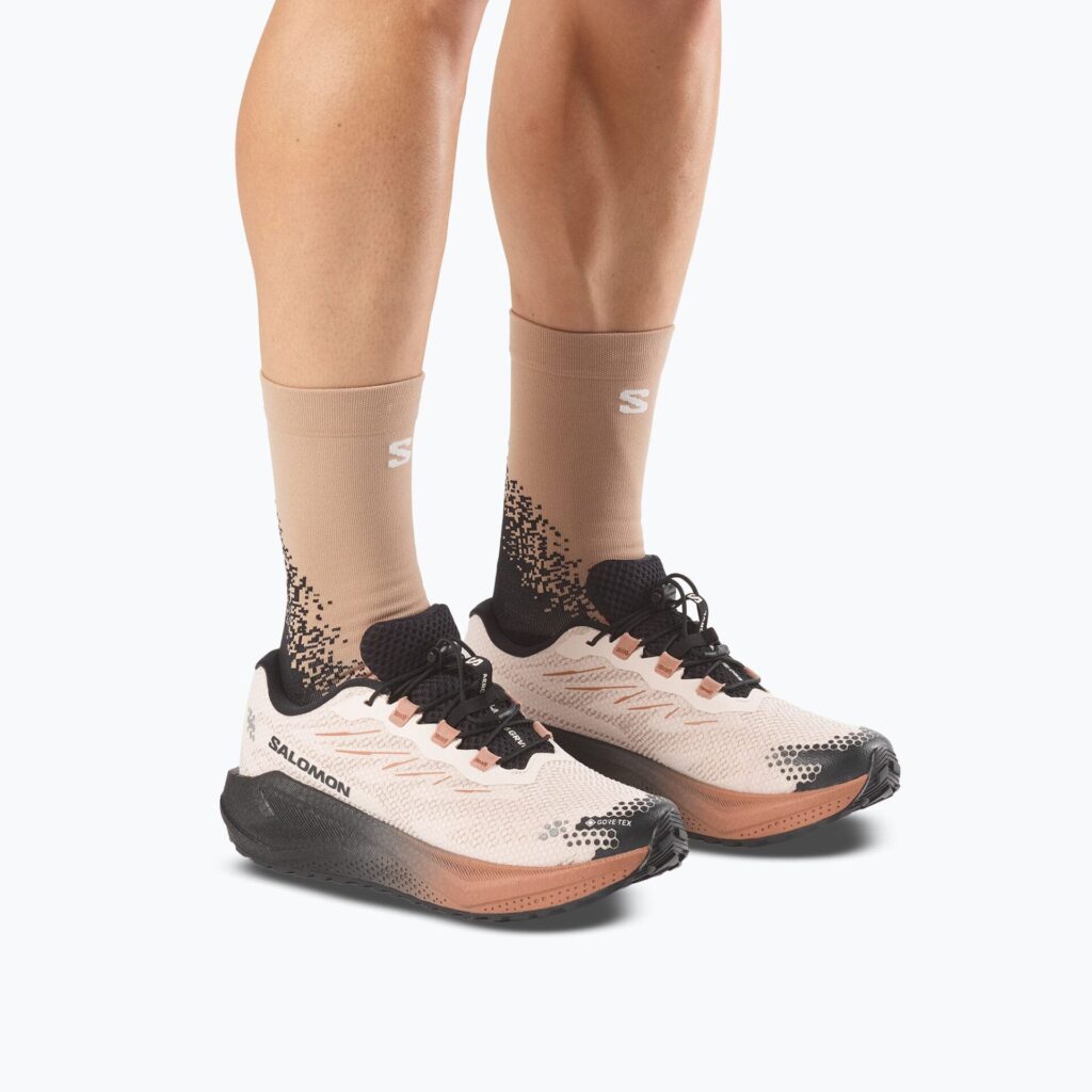 Кроссовки для бега Salomon Aero Blaze 4 GRVL GTX vanilla ice/black