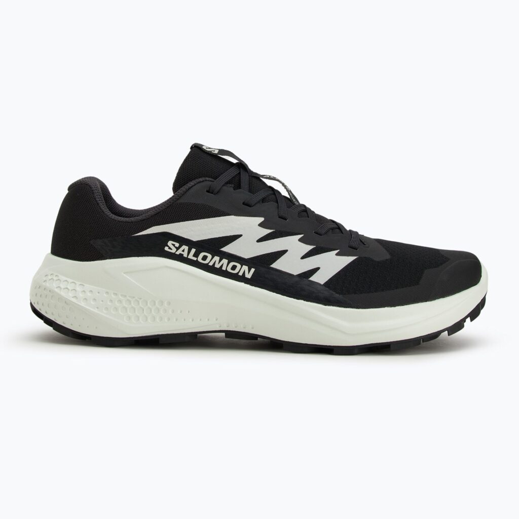Кроссовки для бега Salomon Alphaglide black/phantom/icicle