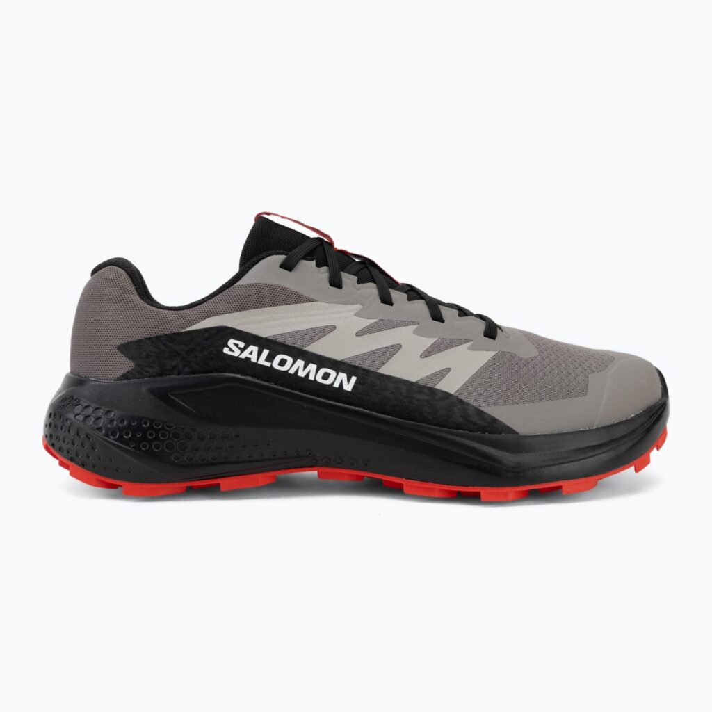 Кроссовки для бега Salomon Alphaglide cloudburst/black