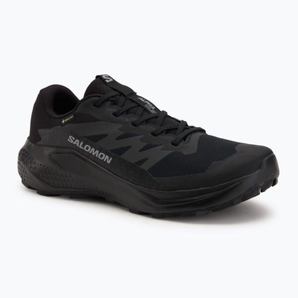 Кроссовки для бега Salomon Alphaglide GTX black/asphalt/black